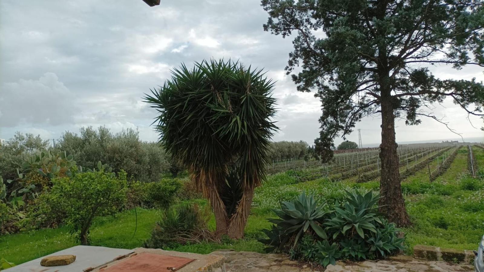 Casa Bouganville Villetta Tra Le Vigne E Il Mare Menfi Exterior photo