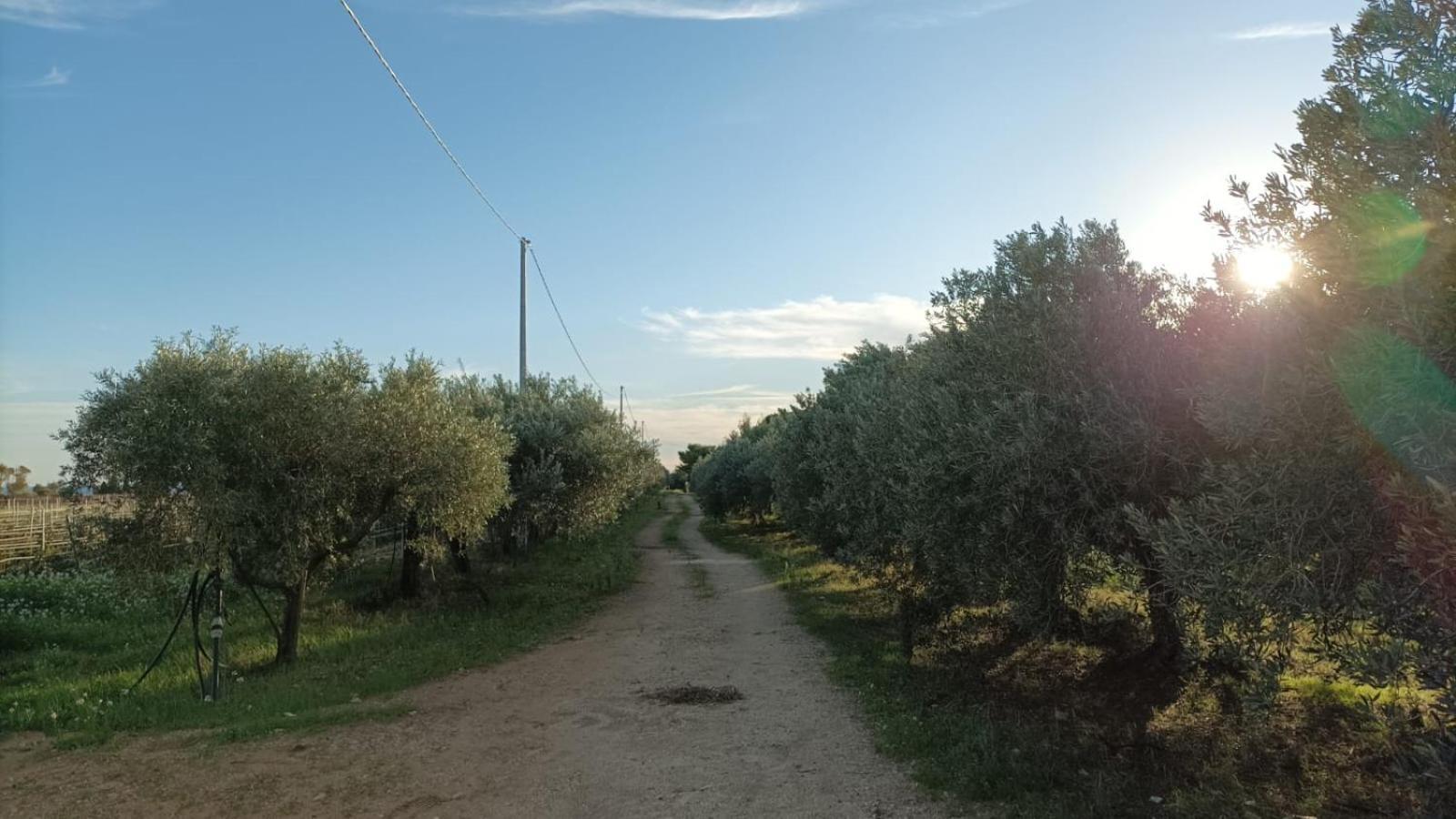 Casa Bouganville Villetta Tra Le Vigne E Il Mare Menfi Exterior photo
